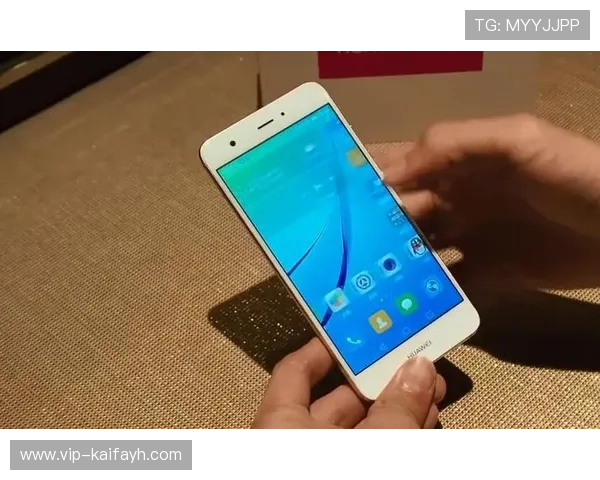 凯发k8登录官网安全登录通道，保障您的账户信息安全与游戏顺畅进行